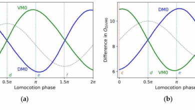 Visions of autonomous search dance in schmidts head