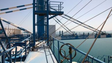 Could a china us partnership cure oil addiction