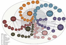 The converged media road to success