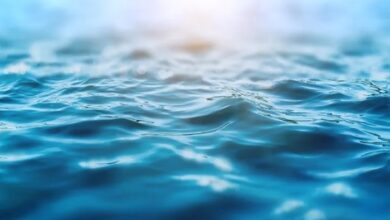 Shock cold water avoid can we what