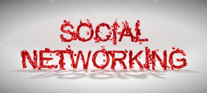 The incredible invulnerable indispensable social network