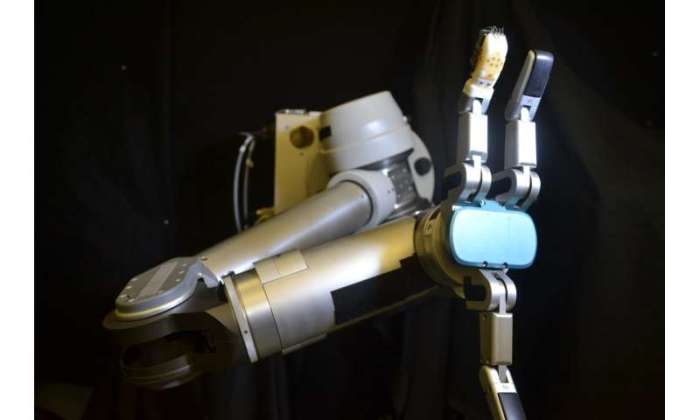 Skin ucla sensor robot can flexible touch finger sensing robots help sense prosthetics prosthetic washington perform could everyday tasks force E skin for robots could lead to touchy feely prosthetics for humans