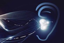 Testing the waters before taking the enterprise voip plunge