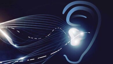 Testing the waters before taking the enterprise voip plunge