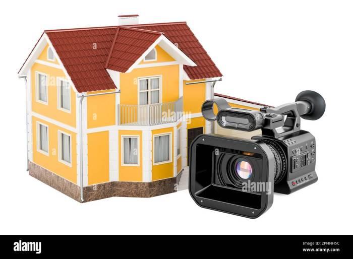 Camera makers take 3d to the living room