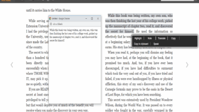 Kindle breaks into browsers
