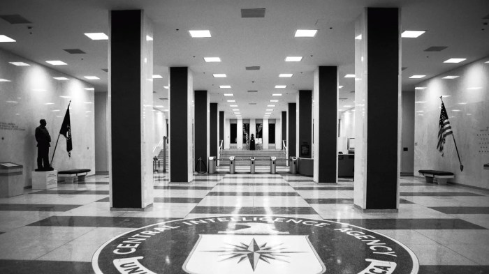 Wikileaks spill catalyst for new more open style of governing