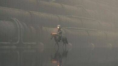 Is true do not track a pie in the sky