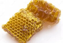 Honeycombs holography hope or hooey