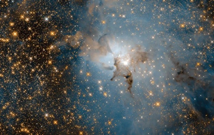 Weird earthly life form means rethinking the hunt for et