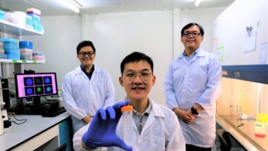 Nanotech trojan horse sneaks drugs into cancer cells