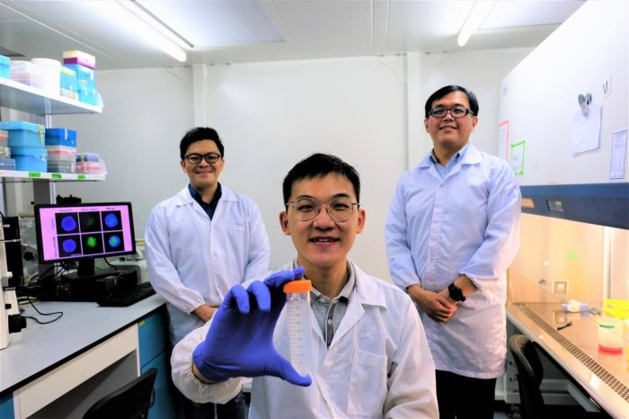 Nanotech trojan horse sneaks drugs into cancer cells