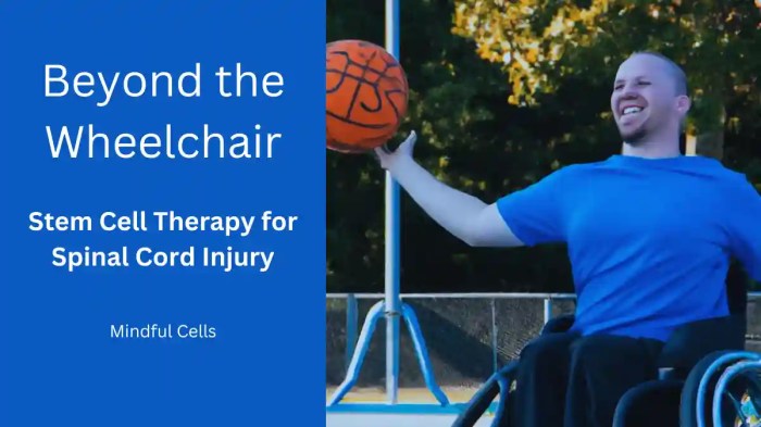 Feds approve stem cell tests on patients with spinal cord injuries