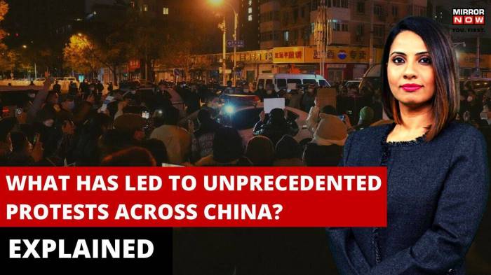 Green dam protesters wait for chinas other shoe to drop