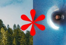 Art online and beyond