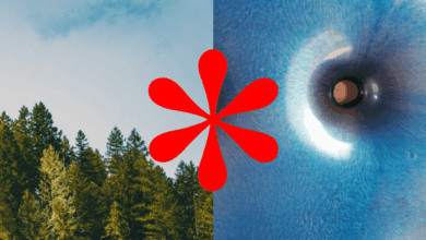 Art online and beyond