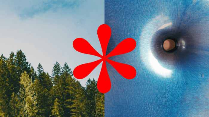 Art online and beyond