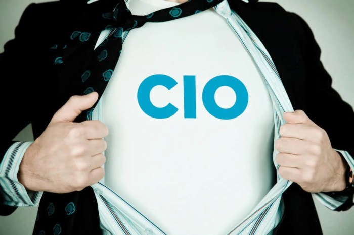 The cios place in the cloud