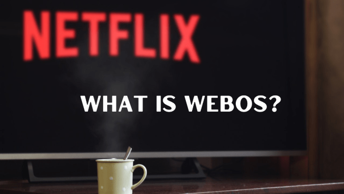 Sneak preview reveals tip of webos tablet iceberg