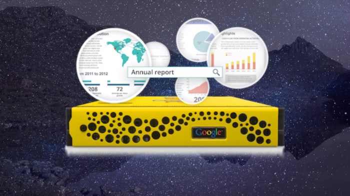 Google search appliance looks skyward