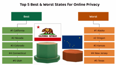 Americas perilous patchwork of privacy laws