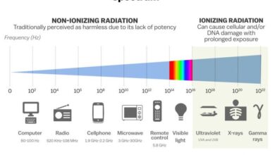 Who connects cellphones with cancer risk