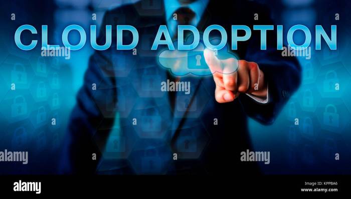 The cios place in the cloud
