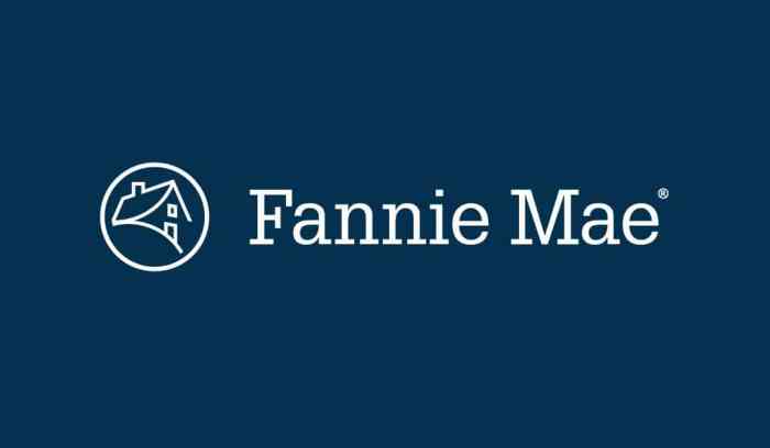 Fired contractor kisses off fannie mae with logic bomb