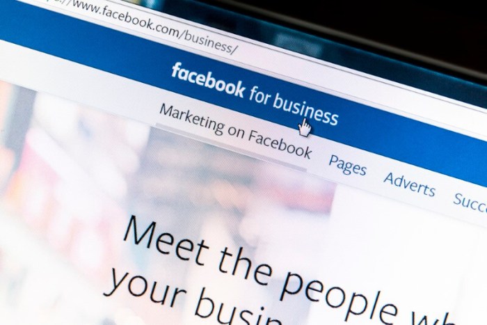 Facebook criticisms inc ppt powerpoint presentation Facebook criticisms inc ppt powerpoint presentation