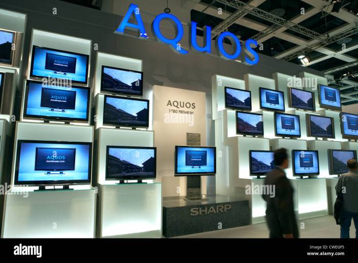 Sharp launches kindle ipad competitor in japan