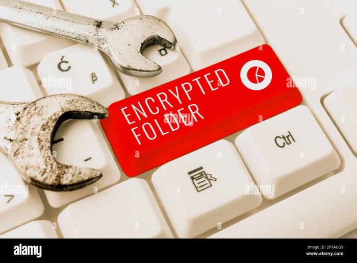 Showcasing attackers confidential Smoking out attackers hiding in encrypted data