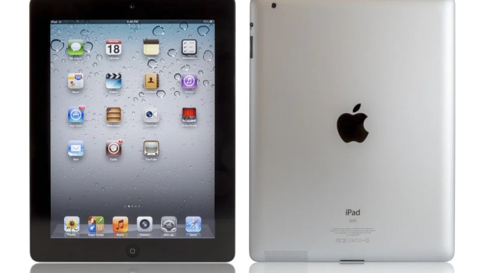 Ipad Was the ipad a mistake