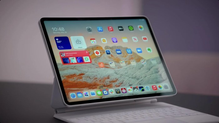 Ipad tablet bury