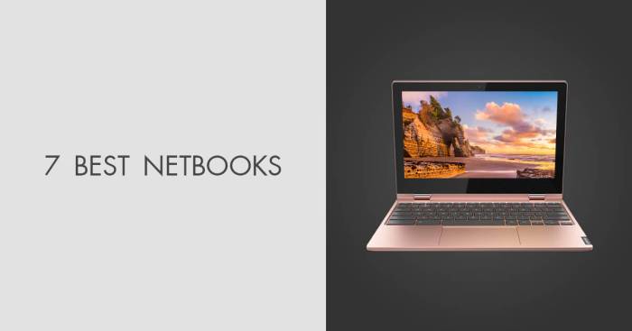 Netbook killed pingdom charts fruit company worldwide example states similar but trend The imminent netbook explosion
