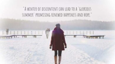 The winter of our disconnect