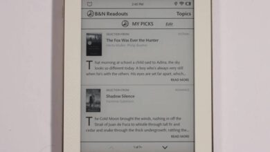 Is barnes noble sending nook over the rainbow