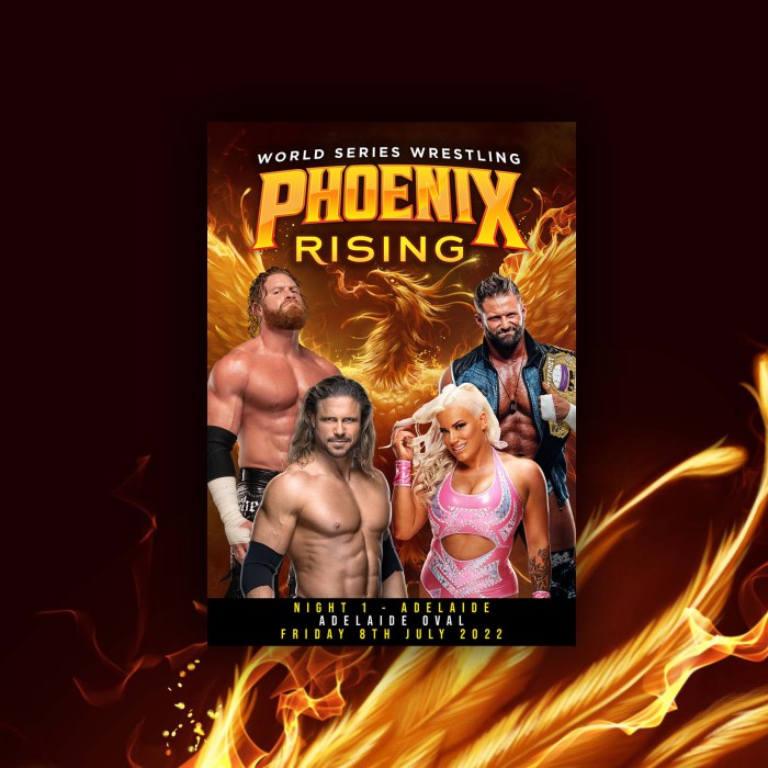 Aols phoenix rises in facebooks heavy shadow