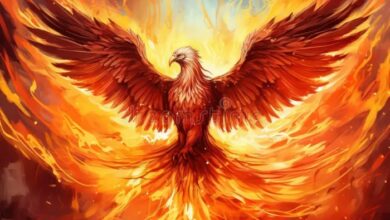 Aols phoenix rises in facebooks heavy shadow