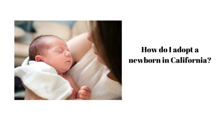 California shouldnt follow nys internet tax plan