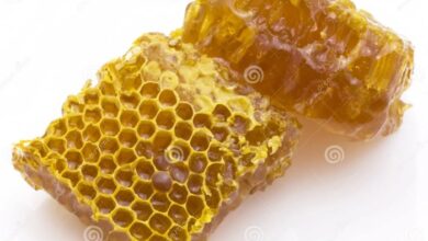 Honeycombs holography hope or hooey