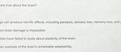 Your brain on cellphones effects present consequences unknown