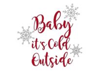 Its cold out there protecting data outside the enterprise firewall