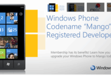 Winpho7 could bear fruit with mango update