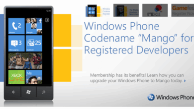 Winpho7 could bear fruit with mango update
