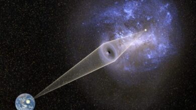 Endeavours last mission could help unravel dark matter mystery